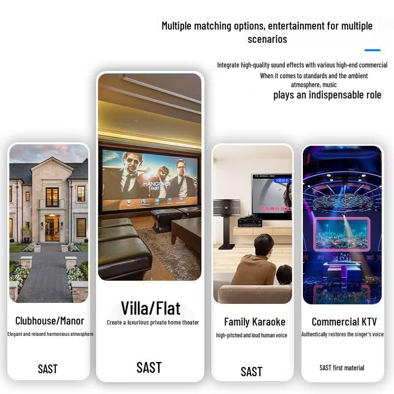 SAST Home Theater KTV Audio System (CN Version)