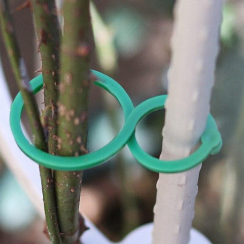 Plant Twist Clip, Lace, Garden Plant Support Clip, Vegetable, Tomato Vine Flower, Clip Plant Lock, For Fixing Plants /50 Pieces KTY