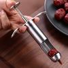 Fruchtentkerner Entsteiner Edelstahl Kern Samenentferner Werkzeug für Apfel Birne Kirsche Jujube
