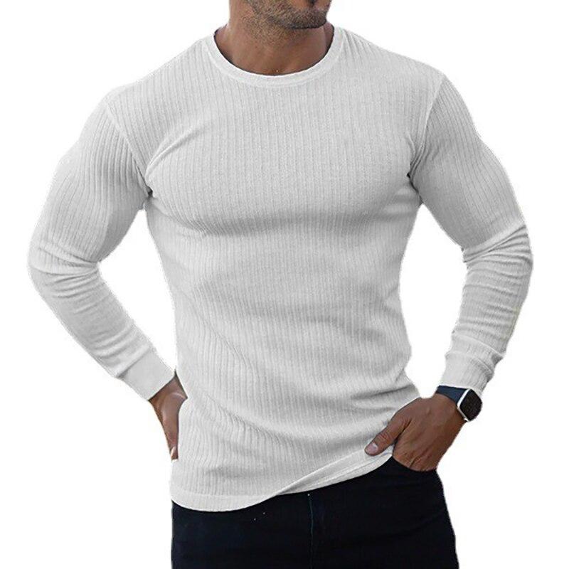 Muscleguys Fashion Autumn Plain Colour Long Sleeved Men's Round Neck Thin Knit Shirt Casual Fitness Clothes