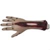 Latex Foam Severed Hand Shaped With Realistic Texture Ornament For Halloween Haunting House And Movie Effect