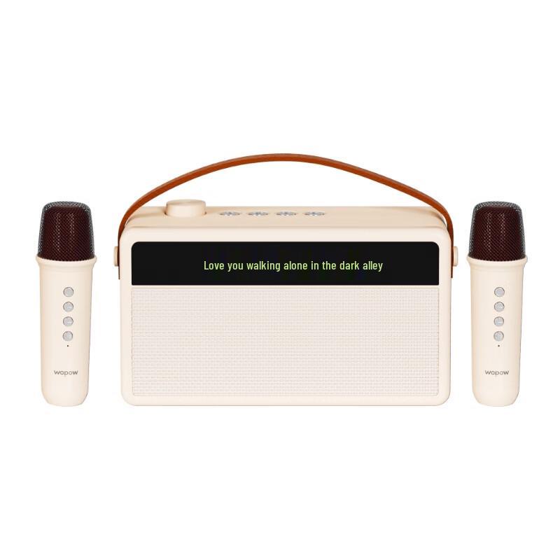 Wopow Karaoke Speaker AP09