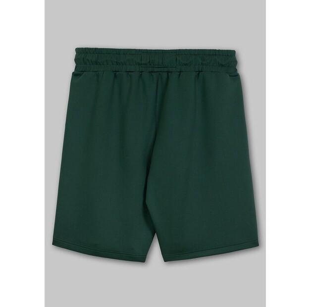 PITBULL Oldschool POWERS Shorts