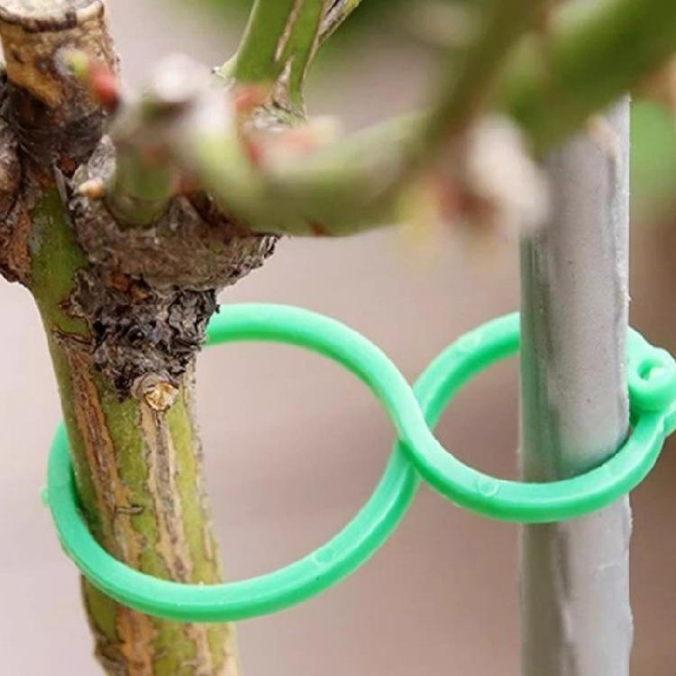 Climbing Plant Clips Reusable Garden Support Durable Plastic Ties for Vine Tomato Cucumber Indoor Outdoor Plant Organizer