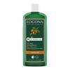 Logona Argan Oil Shampoo 250Ml