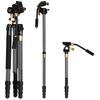 8-Light Edition Q222C Carbon Fiber DSLR Camera Tripod for Photography & Videography - Portable & Travel-Friendly