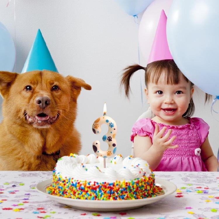 Hundtassar Tema Födelsedagsljus Siffra 0 till 9 Tassar Tårtdekorationer Tassavtryck Födelsedagskalasartiklar