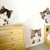 3 Stück Guckende Katze Rausguckende Wandaufkleber Cartoon Katzen Aufkleber Abnehmbar Abziehen