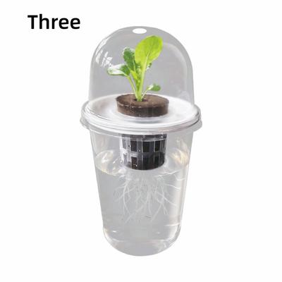Plastic Material Hydroponic Seed Planter Pots Transparent Durable Seedling Baskets Reusable Plastic Cups Succulents Growing
