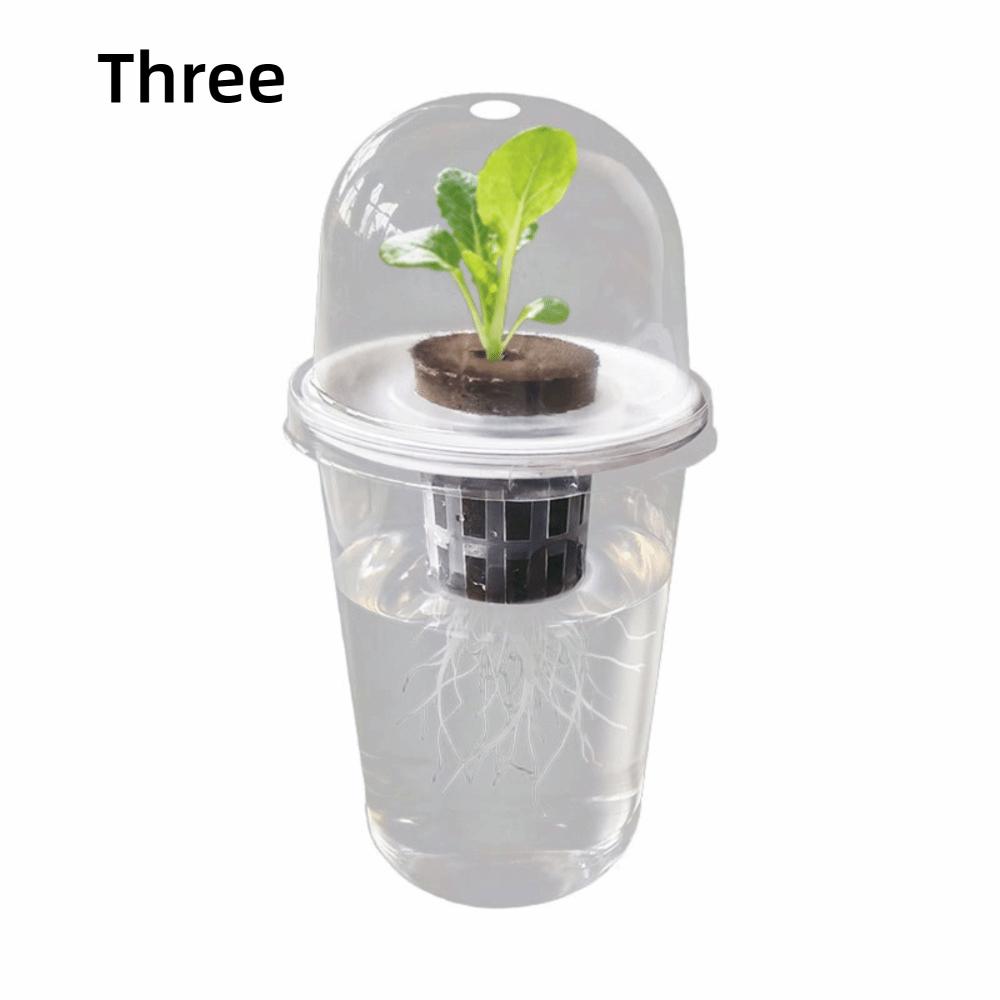 Plastic Material Hydroponic Seed Planter Pots Reusable Durable Seedling Baskets Transparent Plastic Cups Windowsill Gardening