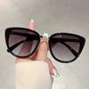 Fashion Cat Eye Sunglasses  New in Vintage Gradient Mirror Outdoor Eyewear Luxury Trendy Brand Design Sexy Women Shades