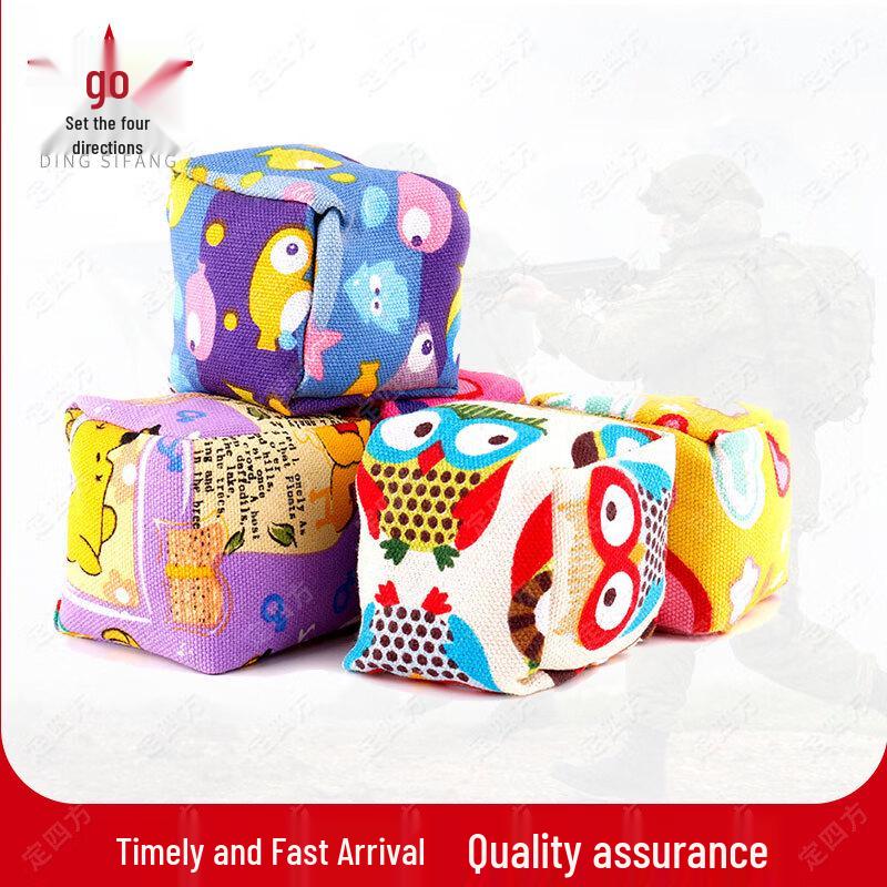 Kids Canvas Throwing Sandbags