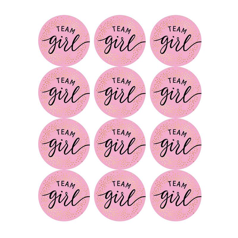 60/120pcs Team Boy Team Girl Stickers Boy or Girl Sticker for Gender Reveal Party Decoration Baby Shower Supplies Gift Box Label