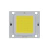 White/ Warm White with Power Supply Driver 10W 20W 30W 50W 70W 100W Light Source LED COB Chip