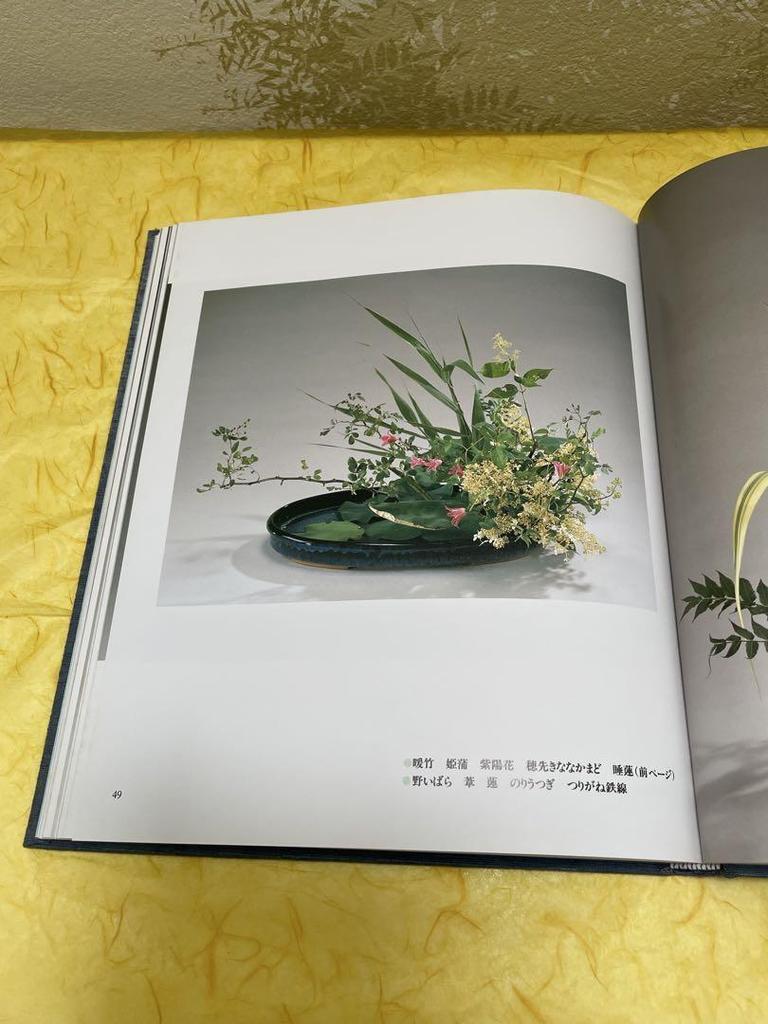 [USED] Arranging Waterside Nature-Based Waterworks Collection Ohara School Ohara School Editorial Office Flower Arrangement Fresh Flowers Ikebana