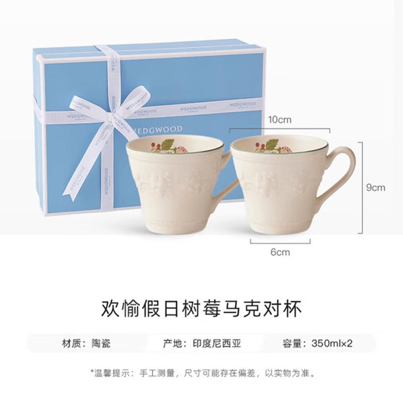 Wedgwood Joyful Holiday Raspberry Mug Pair Gift Set