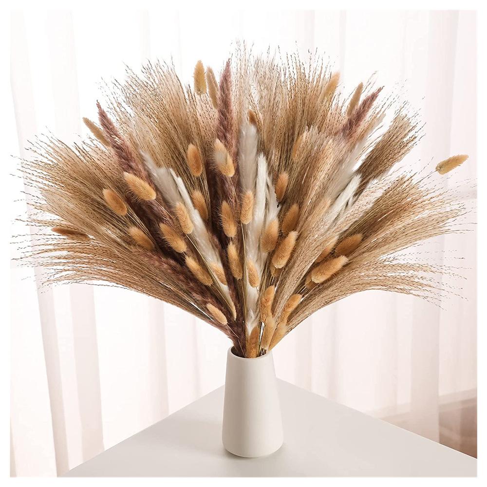 Feixe de Capim dos Pampas, Capim Rabo de Coelho, Juncos, Capim dos Pampas – Decoração Seca Fofa para Casa