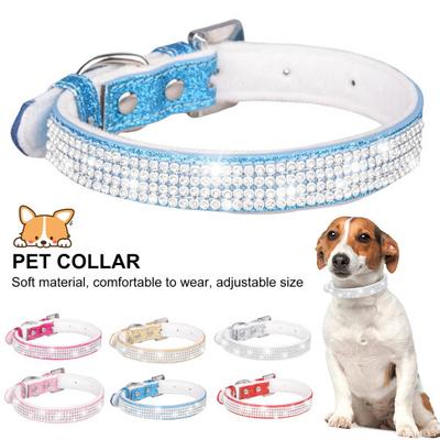 Köpek – Köpek Tasmaları ve Tasma Kayışları