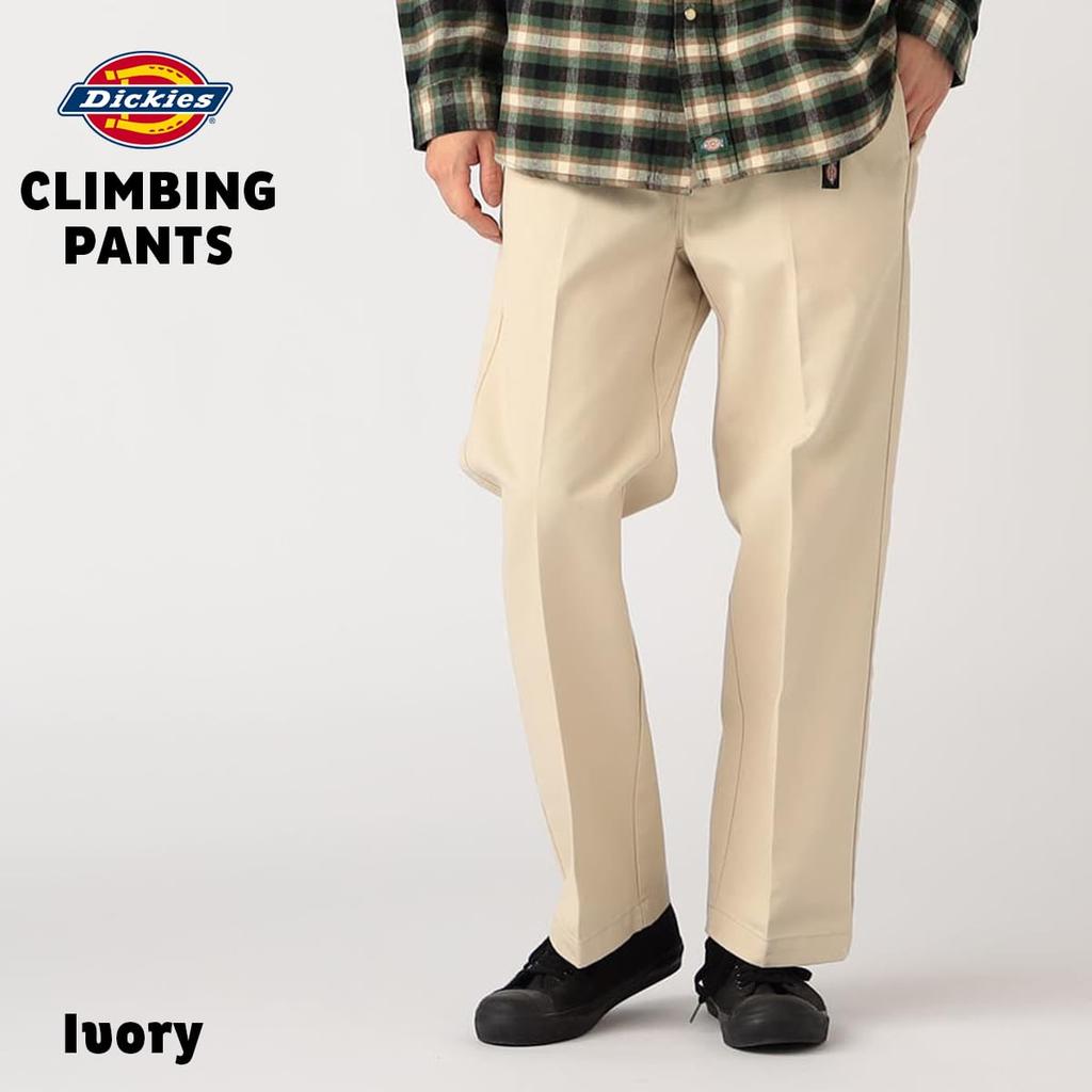 Dickies Climbing Work Pants Stone L DB0010-0065