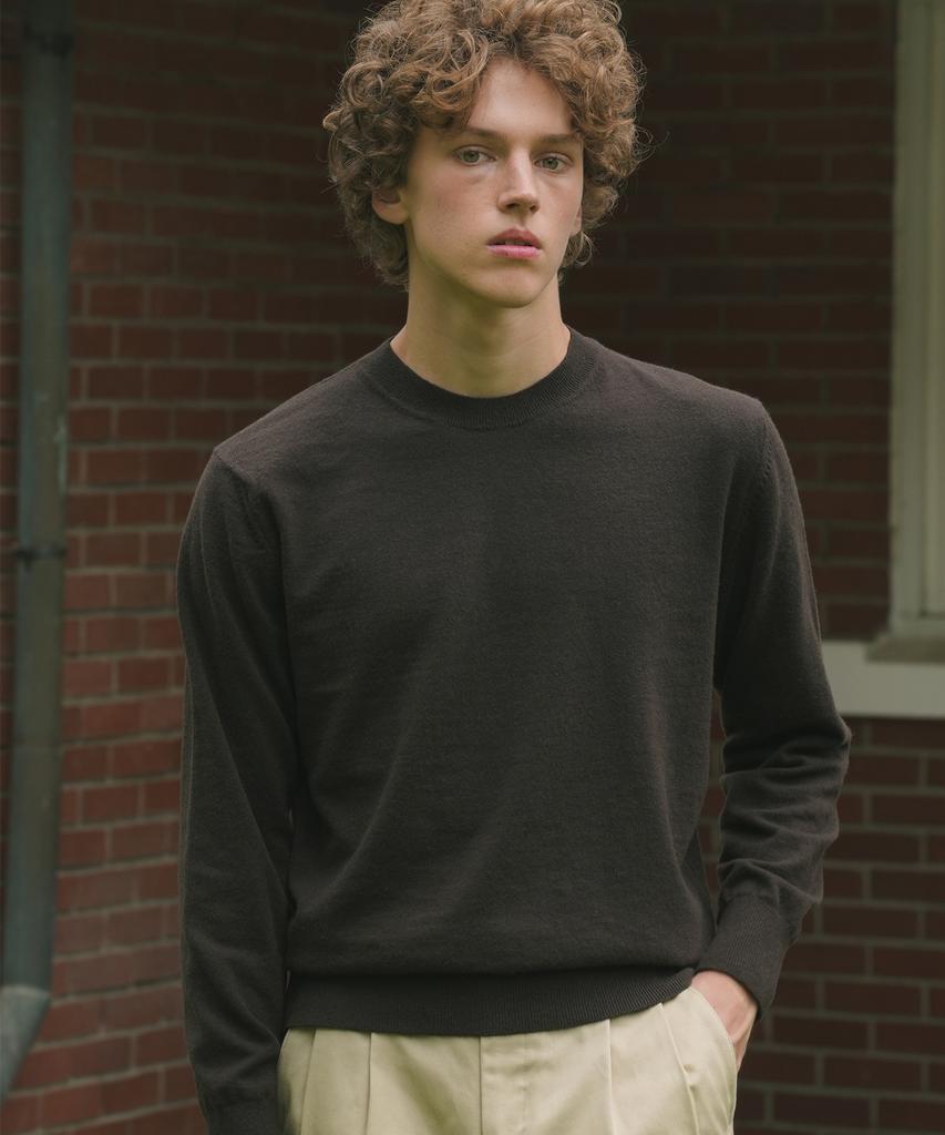 BELLIEF Essential Merino Wool Fine Crewneck Knit (Brown)