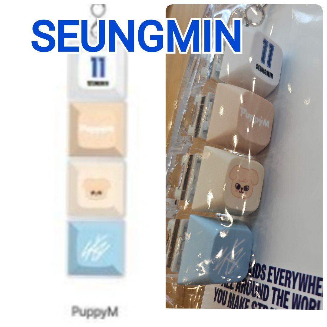 

[USED] Seungmin Papim Stray Kids KARMA Pop-up Keycap Keyring
