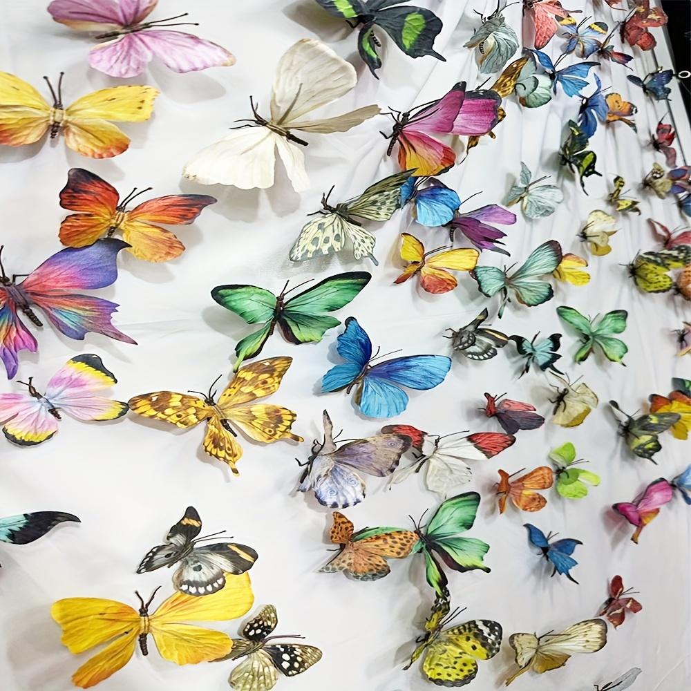 Взрывная бабочка — фото 5