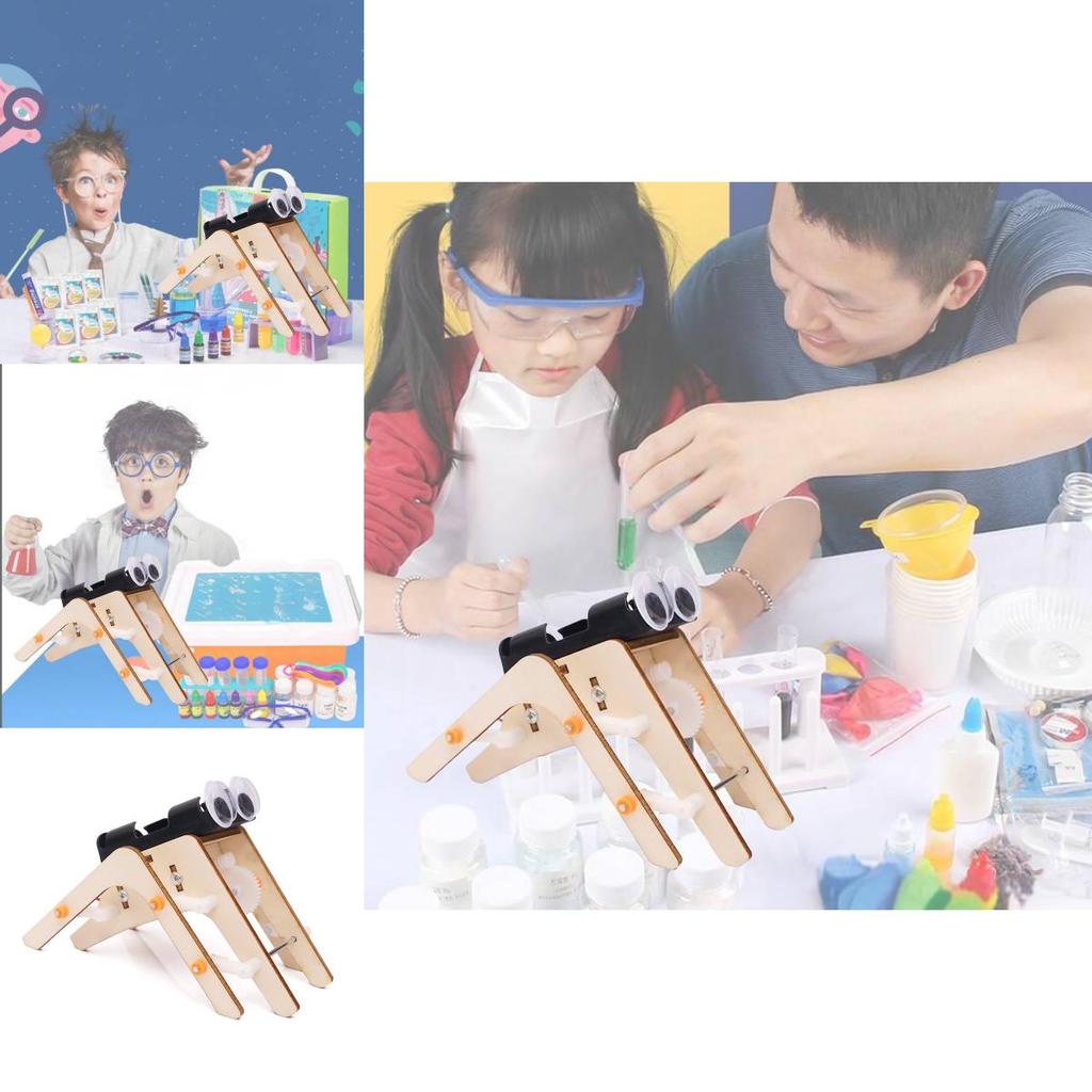 Wooden Diy Spider Bionic Robot Science Experiment Stem Educational Toy For Kids