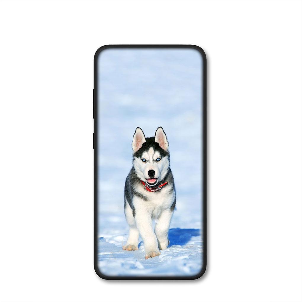 Bella Copertina per Telefono Divertente con Cane Husky per Samsung Galaxy S25 Pro S23 S22 S24 FE Ultra S10 Plus A05 A06 A15 A16 A26 A35 A36 Custodia