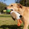 Plüsch-Enten-Hundespielzeug für aggressive Kauer Quietschendes Hundekauspielzeug Unzerstörbares Stoff-Enten-Spielzeug für Hunde Langeweile-Bekämpfung Zahnen