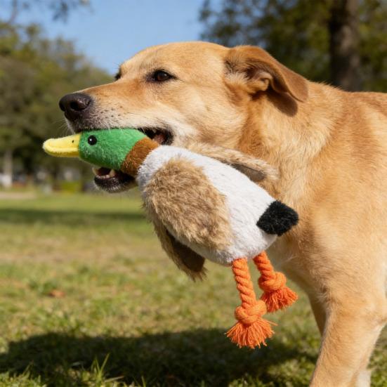 Plüsch-Enten-Hundespielzeug für aggressive Kauer Quietschendes Hundekauspielzeug Unzerstörbares Stoff-Enten-Spielzeug für Hunde Langeweile-Bekämpfung Zahnen