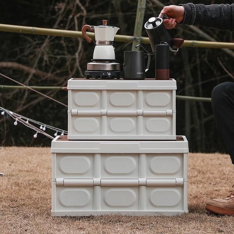 FeiTuLe 30L Collapsible Camping Storage Box