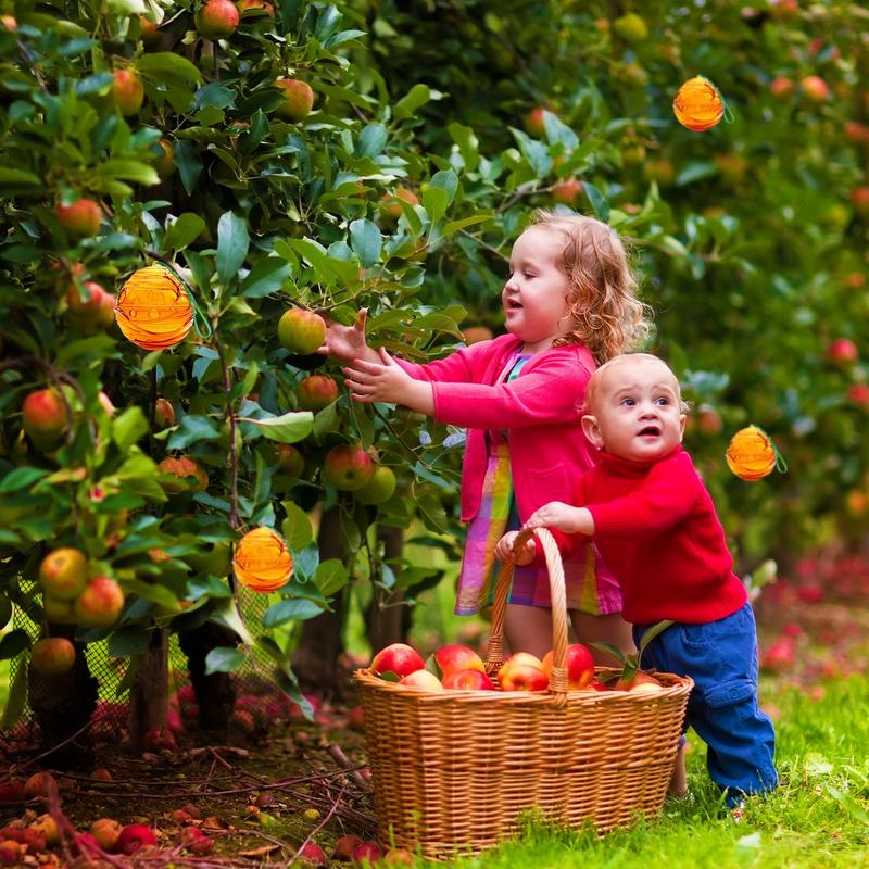 Bee Traps For Outside 2 Pack Outdoor Hornet Traps Reusable Fruit Fly Bait Natural Bait Trapping Gadget Hive-Shaped Design For