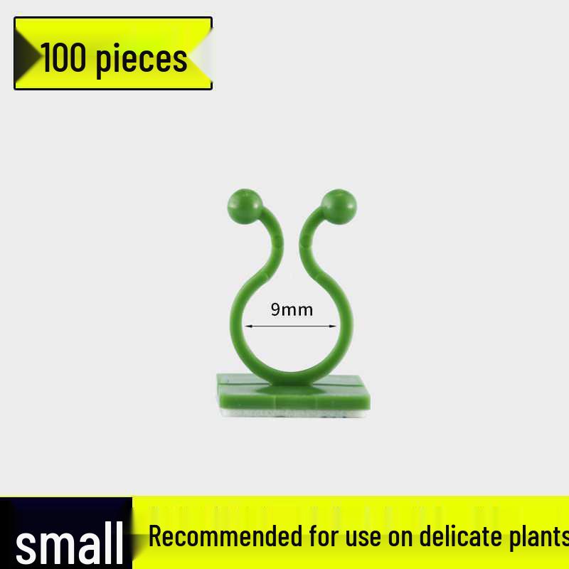 Pothos Climbing Clips: Rose Green Plant Wall Hooks for Vines