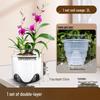 Yingtang Double-Layer Breathable Orchid Pot