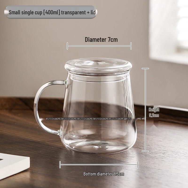 ZISIZ Glass Mug with Handle