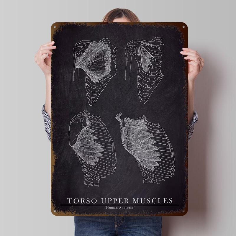Torso Upper Muscle Anatomy Tinplate Posters Customizable Wall Art Retro Vintage Metal Signs for Home Room Decoration Garage Cozy 20X30CM