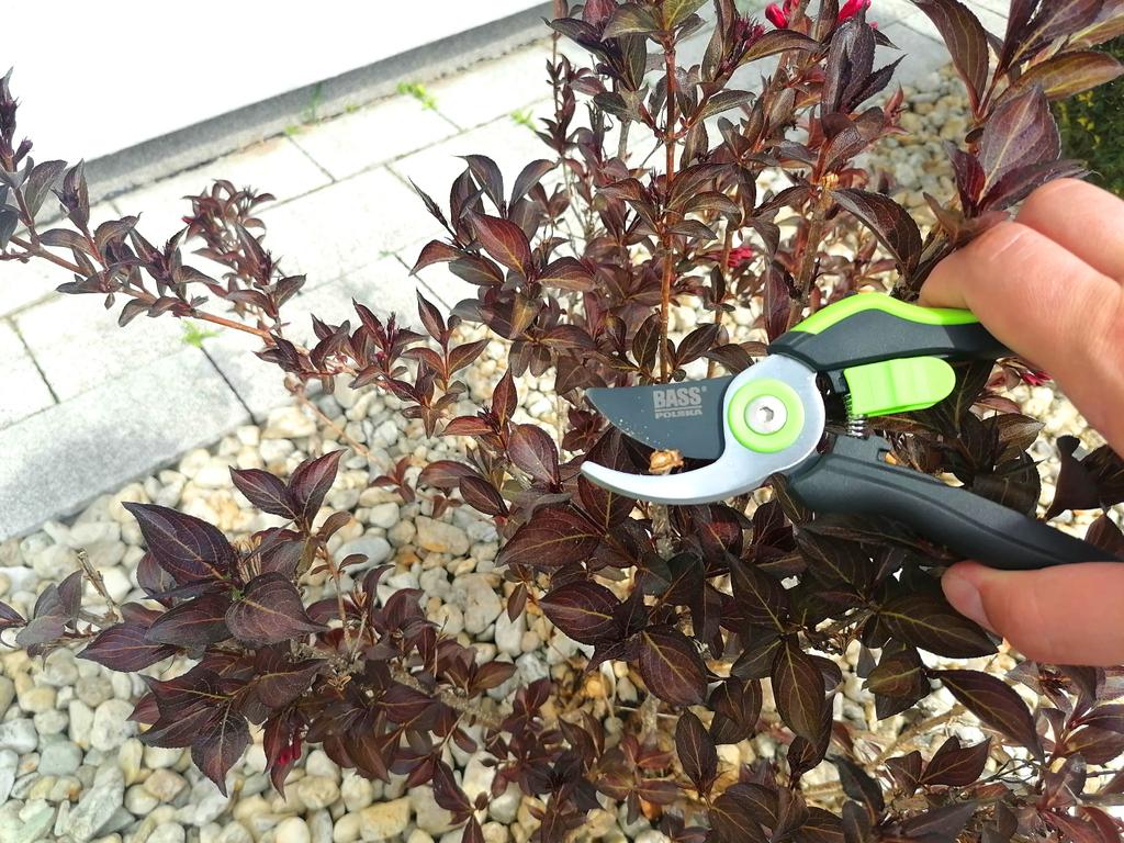 Manual Shrub And Branch Pruner