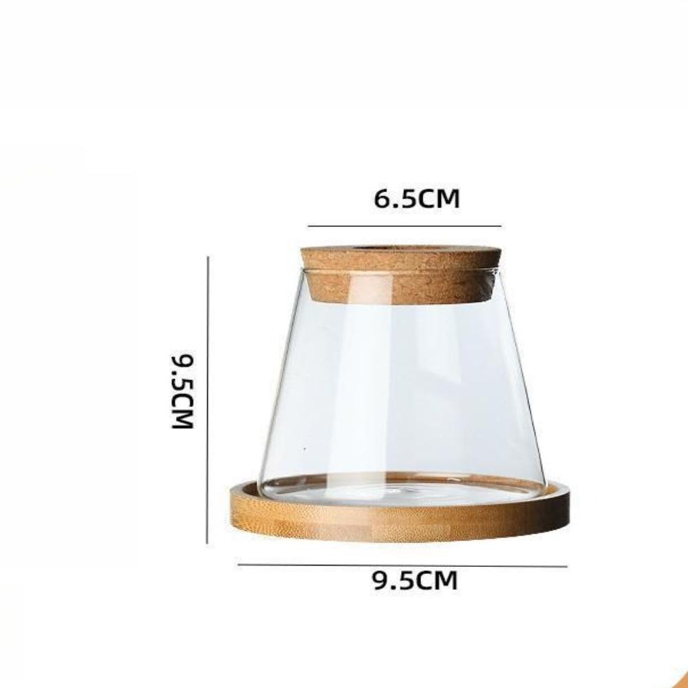 Creative Glass Hydroponic Vase Planter Propagation Station Vase Transparent Small Vase for Home Decoration Elegant Table Decor