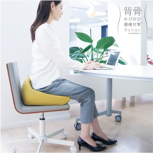 Cojit Urethane Cushion for Good Posture, Reduces Fatigue, and Relieves Back Pain, Navy