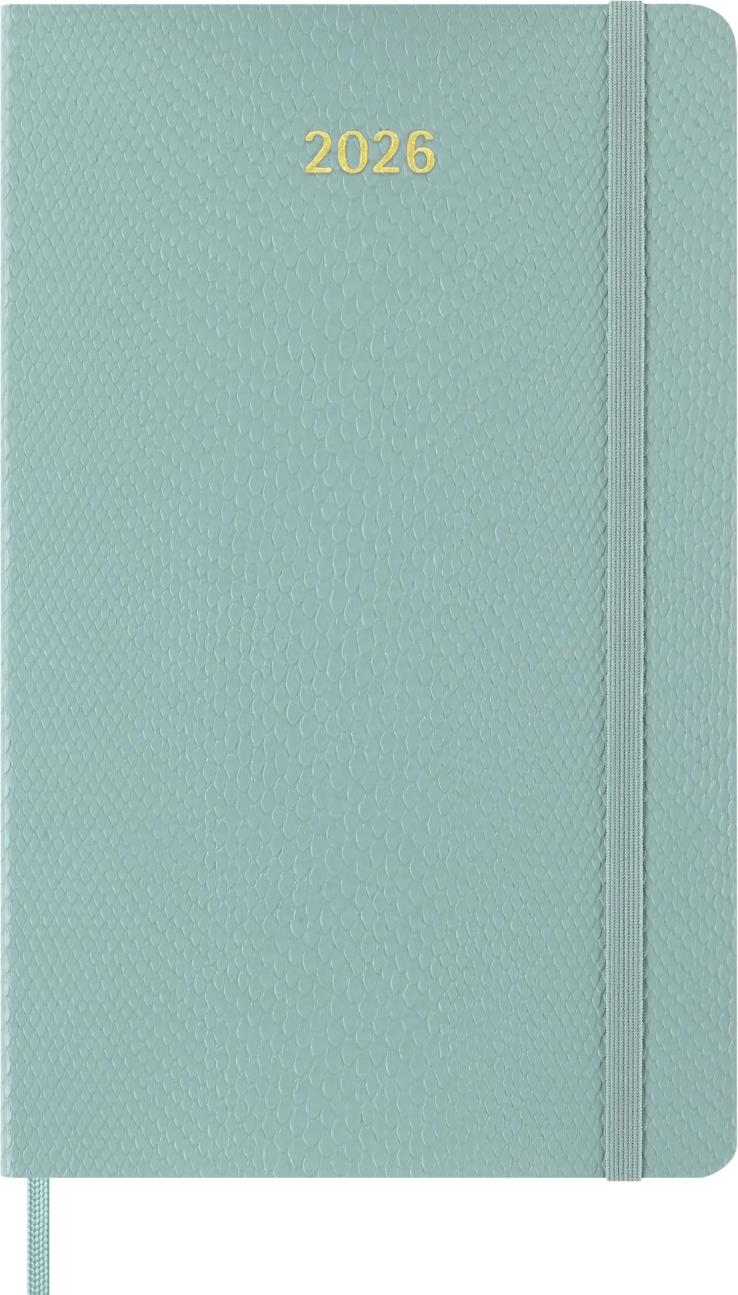 

Moleskine 2025 Essential Weekly October XXL Size x Myrtle DSESNK1512WN7Y26 Planner, 15-Month Planner, Start, (22cm 28cm), Green,