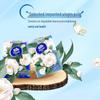 Fazzoletti di carta Vinda Camellia a 4 veli, formato da viaggio, 8 fogli, 12 pacchetti per confezione.
