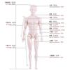 1/6 Male Supermodel Doll's Clothes Suit Fashion Casual Clothes 33cm Doll's Accessories Dress Up Toy