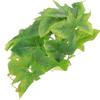 Artificial Plants Lifelike Terrarium Decor Green Leaf Climbing Habitat Accessories Turtle Tank Supplies Hideout Reptile