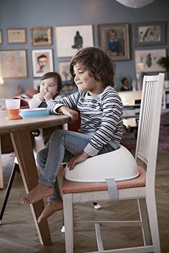 BabyBjorn Booster Seat, White, 069021 (Japan Authentic Product Warranty)