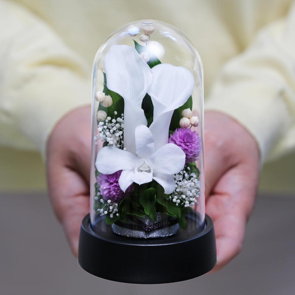 Art Four Seasons Mini Color Mini Dome White Preserved Flowers