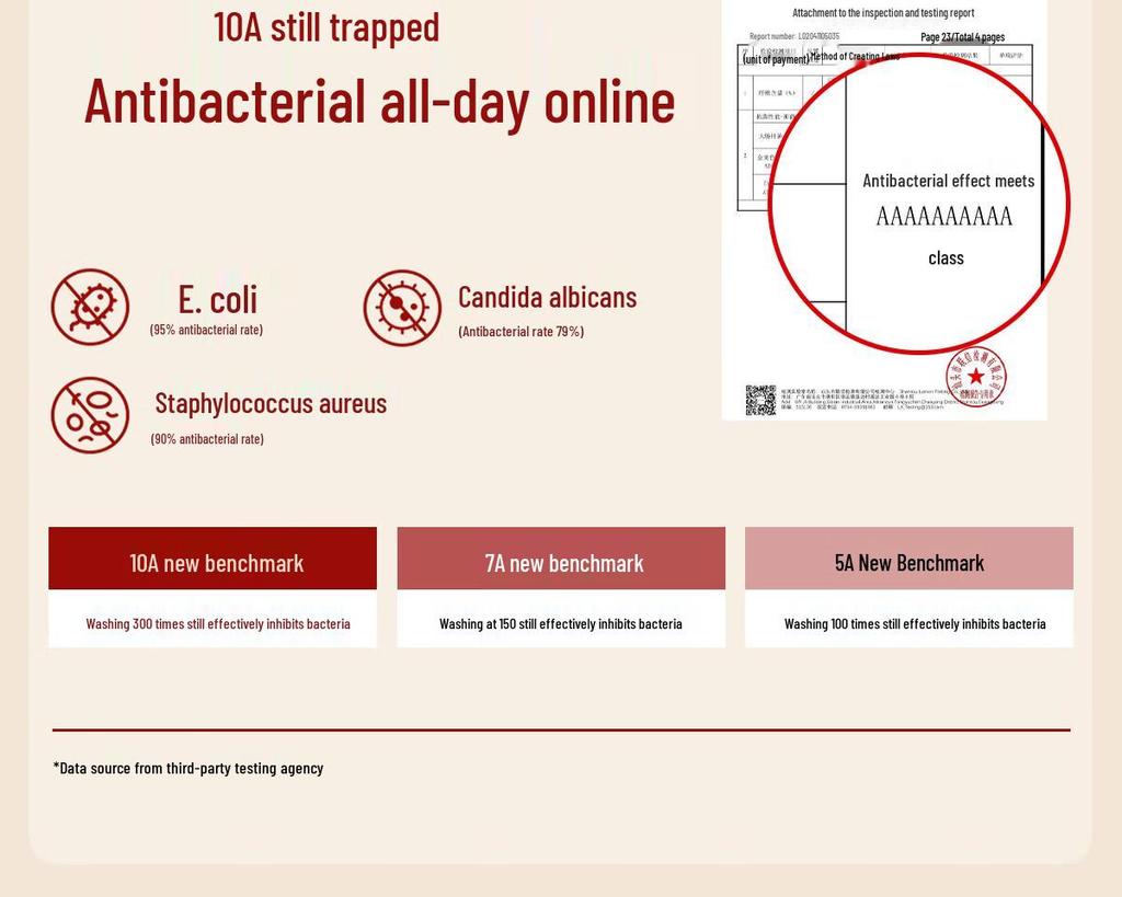 Tingmei Women's Red Lace High-Waist Seamless Tummy Control Briefs