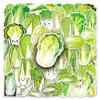 50 Waterproof Cabbage Stickers: Fresh Vegetable Graffiti for Journals, Earphones, Water Cups, and More