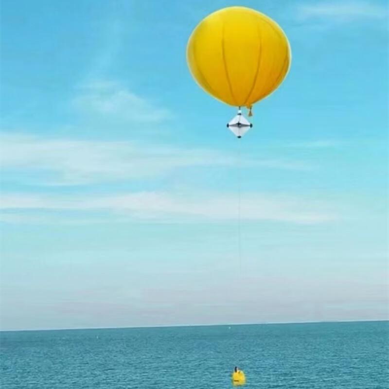 Zhan Te Shao Long 1.8m Suspended Target