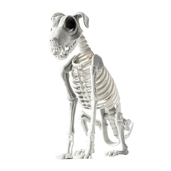 Halloween Skeleton Animal Decoration Creepy Cat/Dog/Bird/Rat/Goat Head Plastic Bones for Courtyard Graveyard Halloween Decor