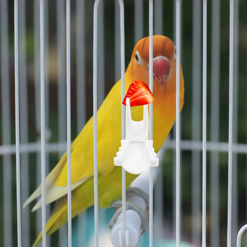 8Pcs Bird Fruit Fork Feeder Plastic Parrot Food Holder Secure Snack Clip for Cage Easy Cleaning Versatile Vegetable Feeding Tool
